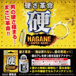 HAGANE ～Super Hard～